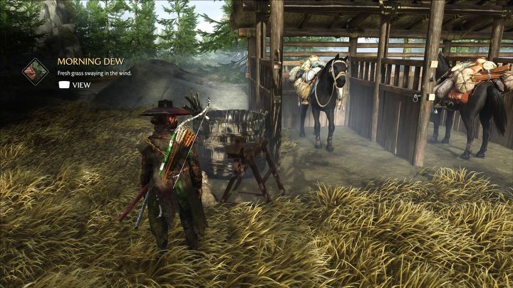 5 - Ghost of Yotei: Which horse should you choose? - Ghost of Yotei: Mechanics - Ghost of Yotei Guide