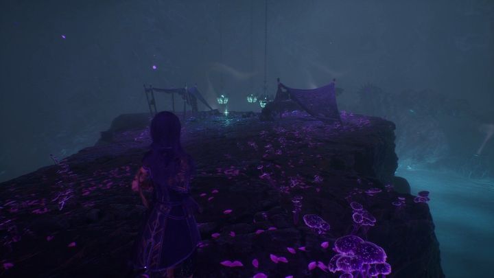 4 - Expedition 33: All journals - Secrets and Collectibles - Expedition 33 Guide