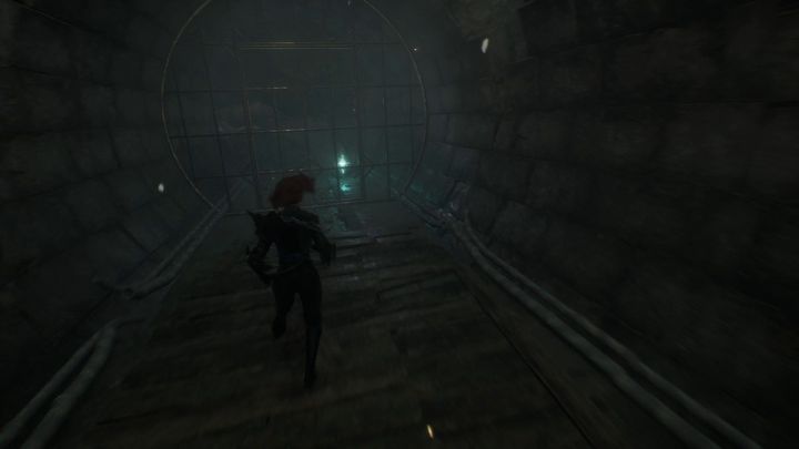 14 - Expedition 33: All journals - Secrets and Collectibles - Expedition 33 Guide