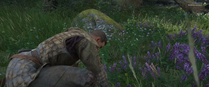 6 - Kingdom Come Deliverance 2: Fortuna - Walkthrough - Kingdom Come Deliverance 2 Guide