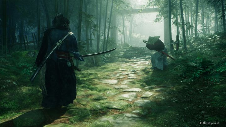 Rise of the Ronin is a Samurai Action RPG From Team Ninja - picture #3