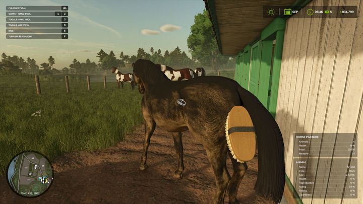 2 - Farming Simulator 25: How to raise horses? - Animals - Farming Simulator 25 Guide