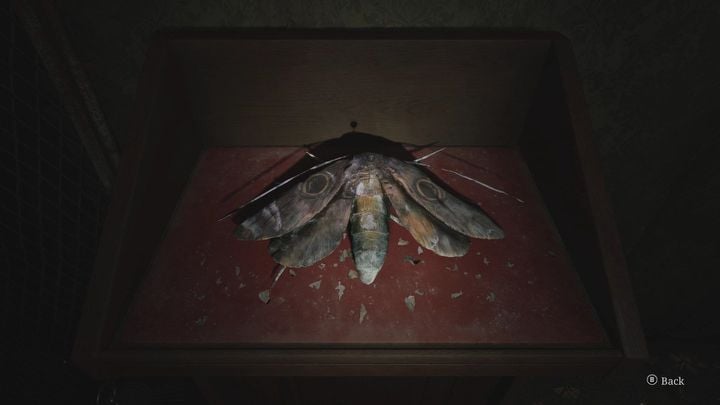 3 - Silent Hill 2 Remake: How to solve moth puzzle? - Puzzles - Silent Hill 2 Remake Guide