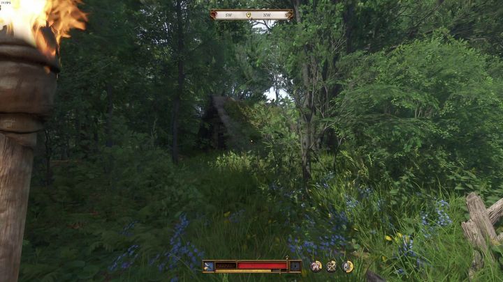 9 - Kingdom Come Deliverance 2: How to find belladonna? Map - Exploration and characters - Kingdom Come Deliverance 2 Guide