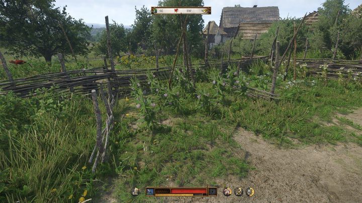 1 - Kingdom Come Deliverance 2: How to find comfrey? - Exploration and characters - Kingdom Come Deliverance 2 Guide