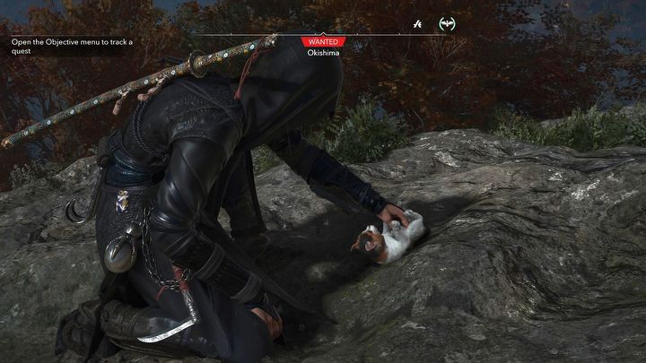 3 - Assassins Creed Shadows: Where is Okishima, the cat island? - Exploration - Assassins Creed Shadows Guide