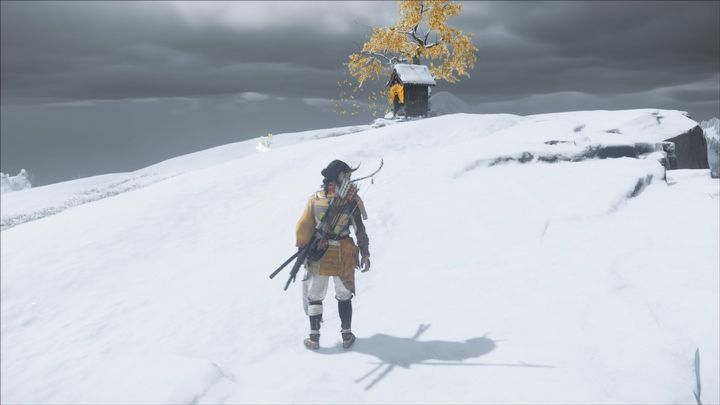 38 - Ghost of Yotei: All Altars of Reflection - Ghost of Yotei: Secrets and Collectibles - Ghost of Yotei Guide