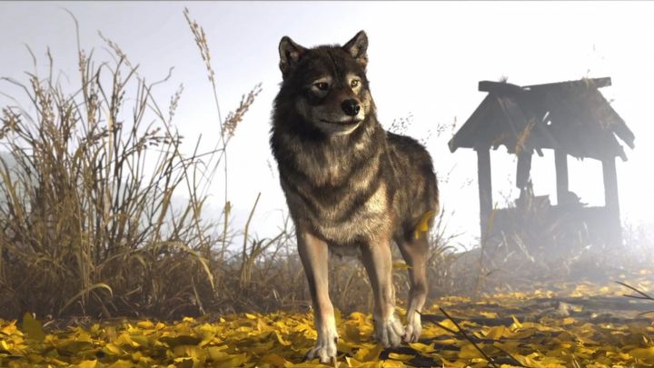 1 - Ghost of Yotei: All Wolf Dens - Ghost of Yotei: Secrets and Collectibles - Ghost of Yotei Guide