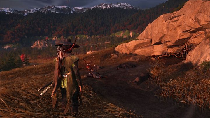 9 - Ghost of Yotei: All Wolf Dens - Ghost of Yotei: Secrets and Collectibles - Ghost of Yotei Guide