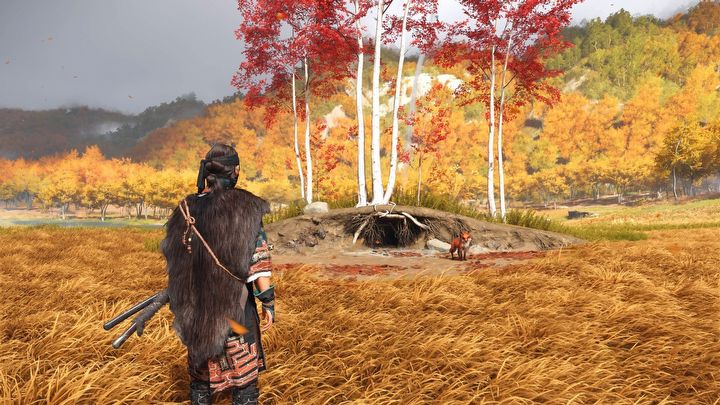 6 - Ghost of Yotei: All Fox Dens - Ghost of Yotei: Secrets and Collectibles - Ghost of Yotei Guide