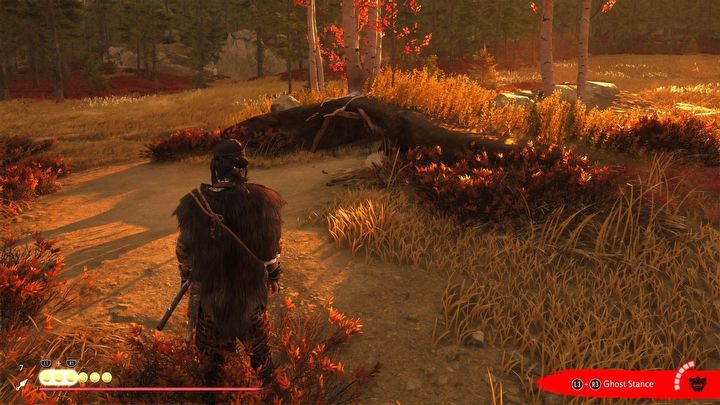 11 - Ghost of Yotei: All Fox Dens - Ghost of Yotei: Secrets and Collectibles - Ghost of Yotei Guide