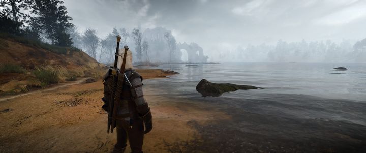 Next-Gen Witcher 3 Proves Ray Tracing is Holy Grail No One Can Find - picture #5