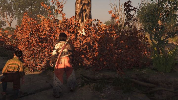 10 - Assassins Creed Shadows: All butterflies map - The Butterfly Collector - Secrets and Collectibles - Assassins Creed Shadows Guide