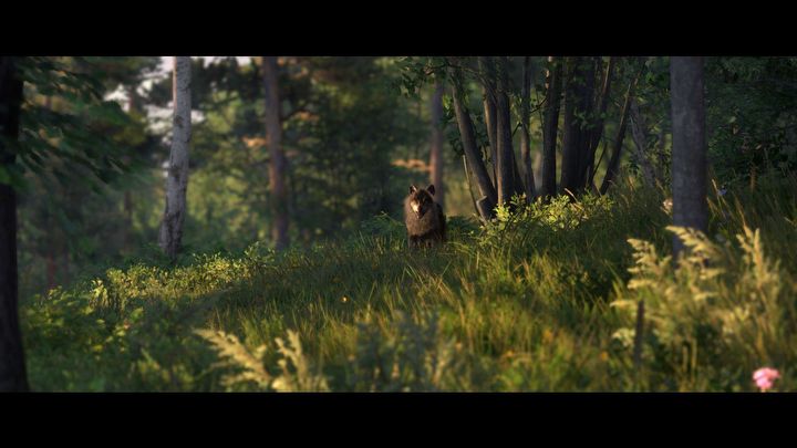 5 - Kingdom Come 2 Brushes with Death: How to unlock the DLC? - Walkthrough - Kingdom Come Deliverance 2 Guide