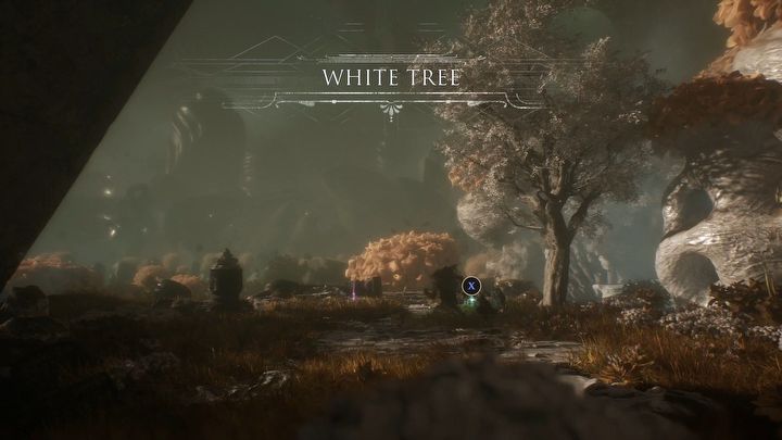 12 - Expedition 33: All vinyl records - Secrets and Collectibles - Expedition 33 Guide