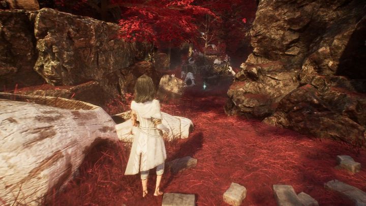 4 - Expedition 33: All journals - Secrets and Collectibles - Expedition 33 Guide