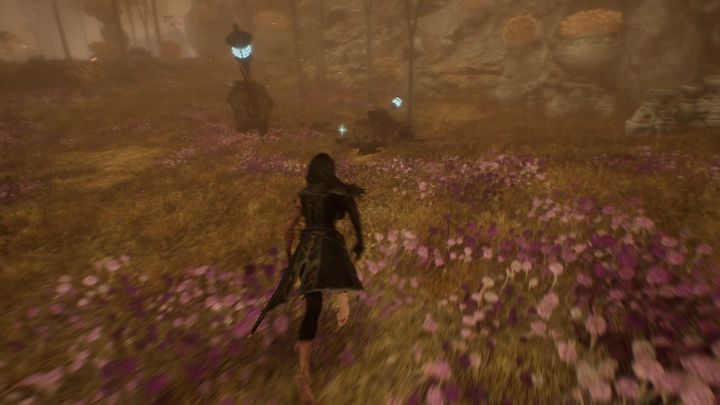 8 - Expedition 33: All journals - Secrets and Collectibles - Expedition 33 Guide