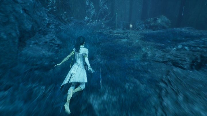 23 - Expedition 33: All journals - Secrets and Collectibles - Expedition 33 Guide