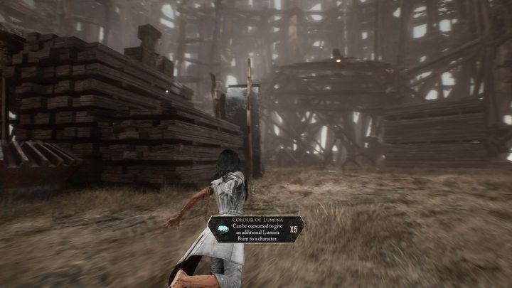 31 - Expedition 33: All journals - Secrets and Collectibles - Expedition 33 Guide