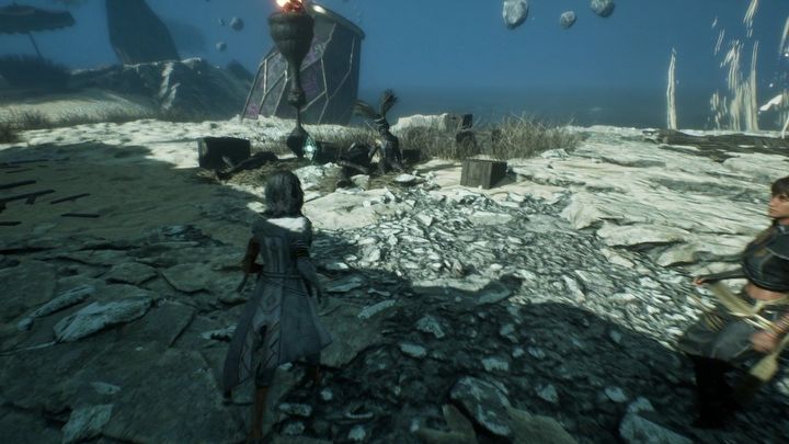 35 - Expedition 33: All journals - Secrets and Collectibles - Expedition 33 Guide