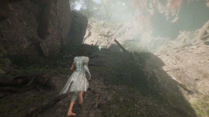 36 - Expedition 33: All journals - Secrets and Collectibles - Expedition 33 Guide