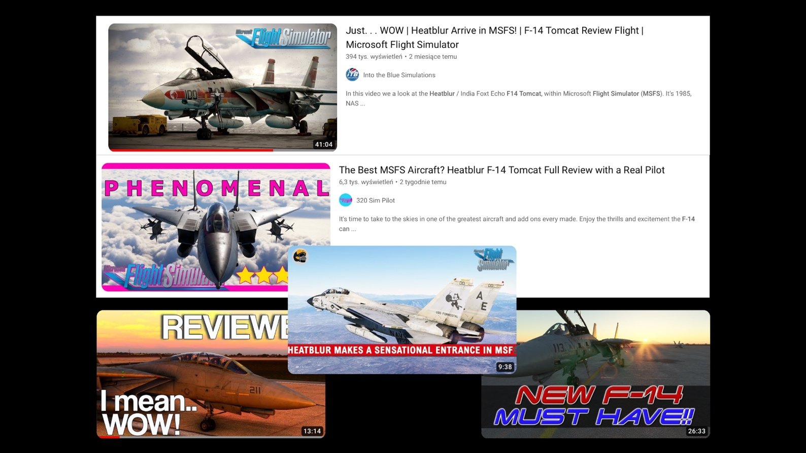 The headlines of reviews after the premiere of Heatblur's first product on the Microsoft platform speak for themselves. - Experts in Realism, Household Name Synonymous With Quality - Conversation With Heatblur Team - dokument - 2024-03-11