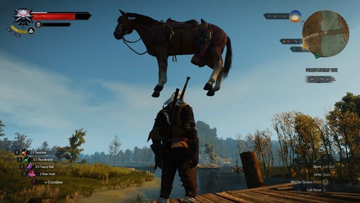 As for the bugs, Ciri, Geralt, and Wild Hunt must step aside for Roach. The unfortunate horse could levitate, run on its hind legs, or teleport across the rooftops. (Source: Kotaku) - Crude Classics. Games Full of Bugs that Players Love Anyway - dokument - 2020-10-30
