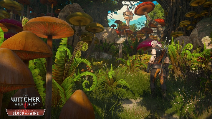 Yes, Toussaint is by all means a fairy tale land, but when describing it, Sapkowski wasn’t as far in Wonderland as one may think... Or perhaps it’s a homage to Morrowind? - 2016-05-09