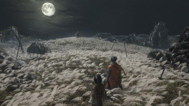 Whoever began and finished their adventure with Sekiro in the field suffused with moonlight knows exactly what I mean. - From Software Is the Most Important Studio of the Last Decade - dokument - 2020-02-17