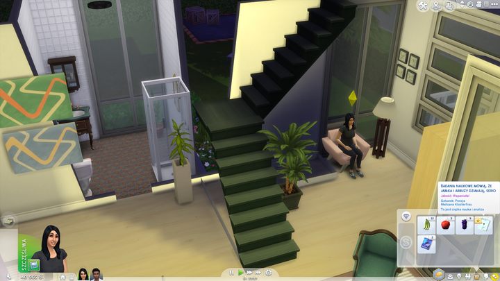 As you can see, this method of family planning is already getting serious scientific coverage. - 13 Rules of Life According to The Sims - dokument - 2019-09-23
