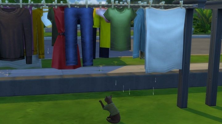 The add-on isn't awe-inspiring in terms of content, but cats seem to be having fun. Some fun, at least. - Spending $10 for Laundry in The Sims 4 is My Worst Decision This Year - dokument - 2020-03-09