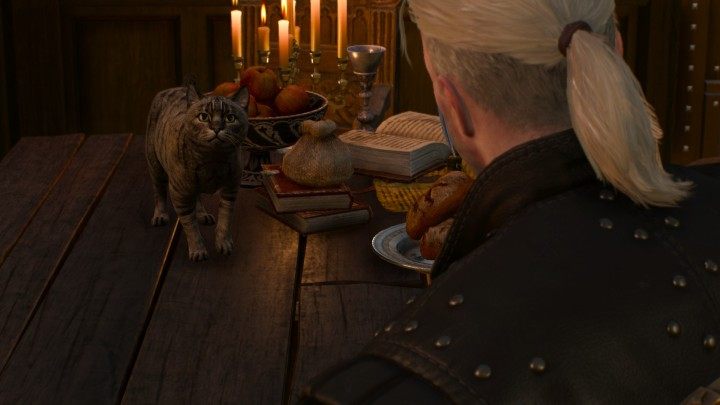 “What do you like about cats?” “I like cats gratuitously: for being beautiful and wise.” (2001) - Who is Andrzej Sapkowski? The Best Quotes from the Ultimate Game Master - dokument - 2019-12-03