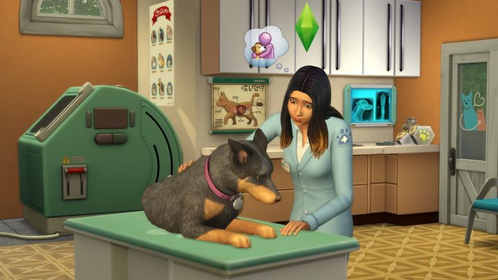 The latest addition to The Sims 4 lets you take care of a dog or cat. We're afraid to think what the players will do with it. - 13 Sick Things We Did to The Sims - dokument - 2020-08-04