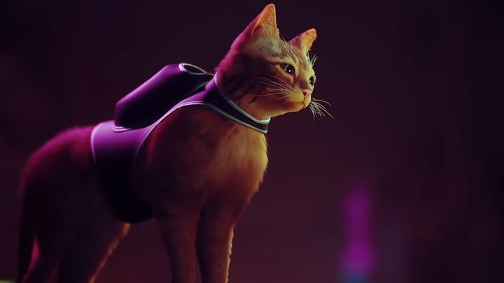 A cat is the best seller system ever. - The Most Wanted Video Games Coming in 2021 - dokument - 2020-12-23