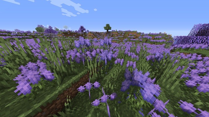 Source: CurseForge/Forstride - Best mods for Minecraft 2024 - document - 2024-06-28