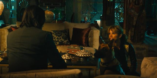 This Popular John Wick Character May Return; Shes Played by Hollywood Star - picture #1