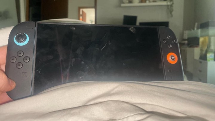 Dog bit off players JoyCon from Switch 2. Nintendo will replace missing part for free - picture #1