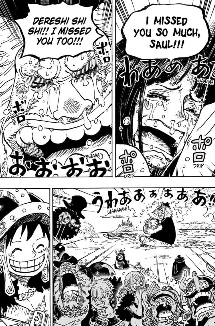 In One Piece one member of Straw Hat crew finally found important person. Their reunion made everyone cry