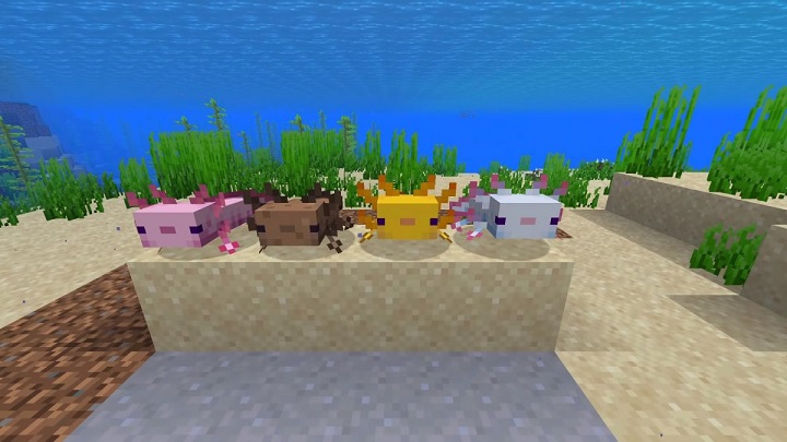 Minecraft Snapshot 20w51a Adds Axolotls - picture #1