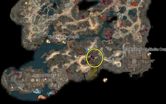 Theyre probably the least known allies in Baldurs Gate 3s finale. Not many players gain the support of the fish people - picture #1