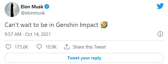 Elon Musk as Genshin Impact NPC? I Cant Wait - picture #1