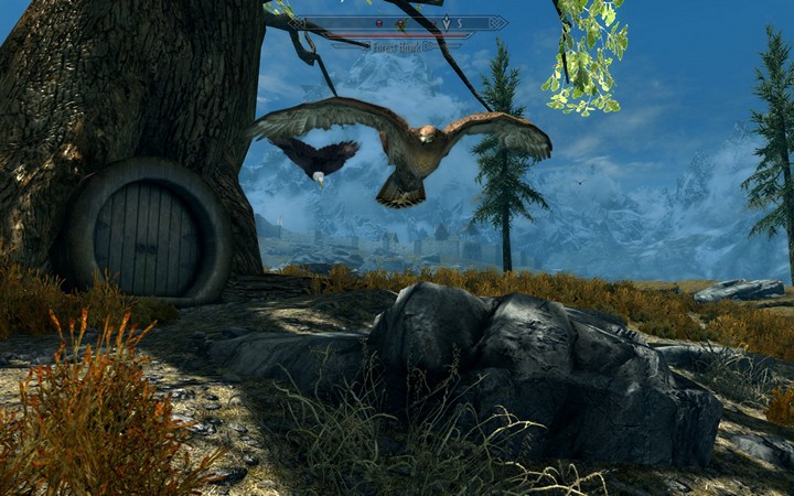Falconry in Skyrim - This Mod is a Work of Passion - picture #1