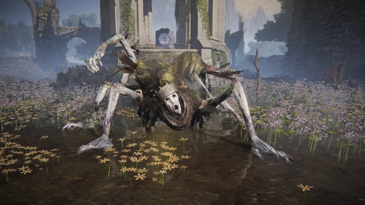 This Elden Ring Enemy was Killed Most Often; Players Wonder Who Died the Least - picture #3