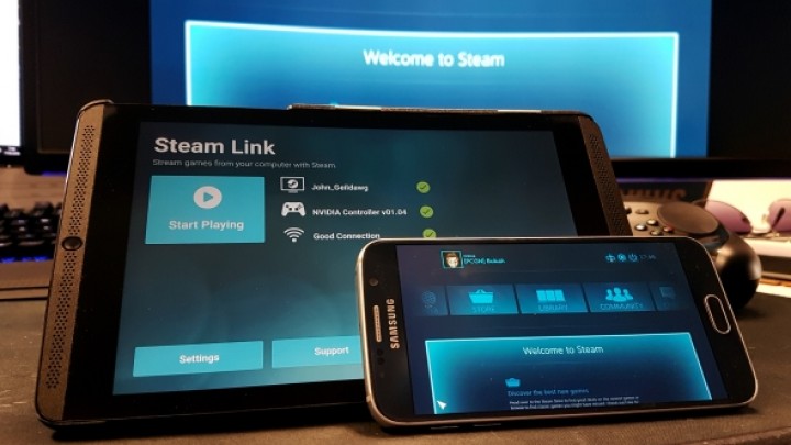 Valve Announces Steam Link Anywhere and a Web API for Developers - picture #1