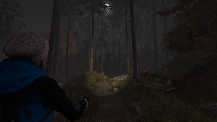 Venture through the woods in a new third-person survival horror - picture #2