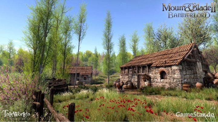 Mount & Blade II: Bannerlord to feature battles of up to 1,000 soldiers, dynamic seasons and more - picture #2