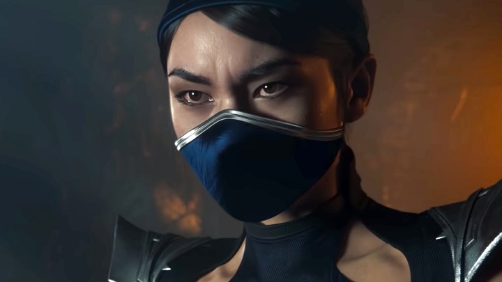 Numerous Functions in Mortal Kombat 11 Require a Network Connection - picture #1