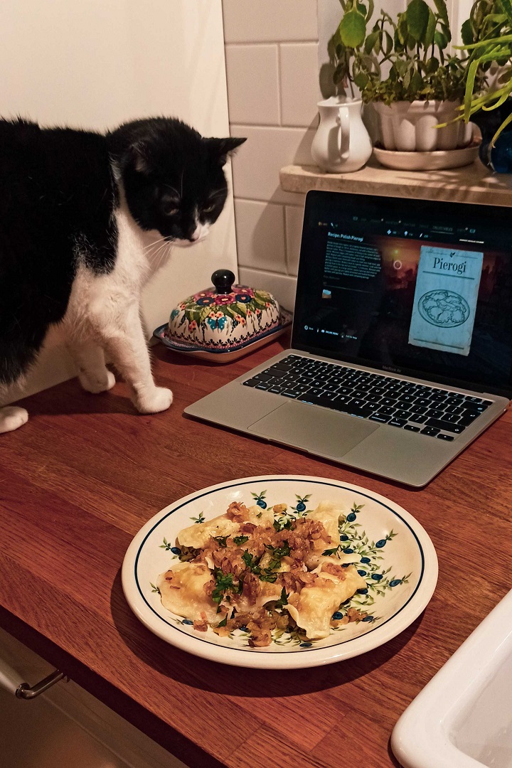 We Checked Out the Pierogi Recipe from Dying Light 2 - picture #1