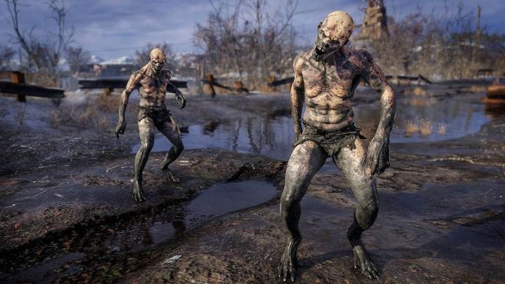 Statement From Metro Exodus Publisher - picture #1