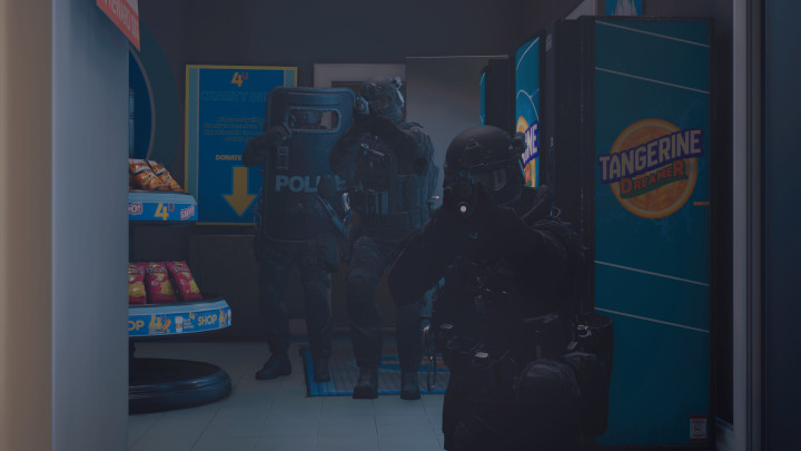 Ready or Not, Spiritual Successor to SWAT 4 Finds a Publisher - picture #1